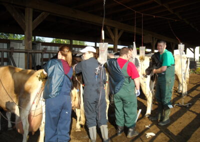 Advanced reproduction class at farm-"hands in" instruction